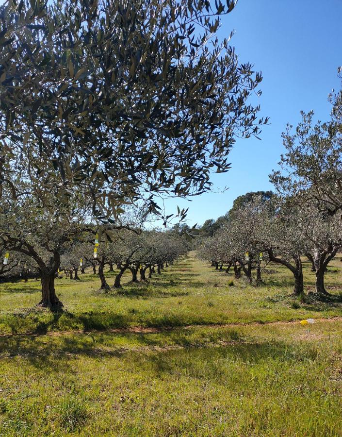 Les Hauts Du Peireguier La Motte Exteriör bild