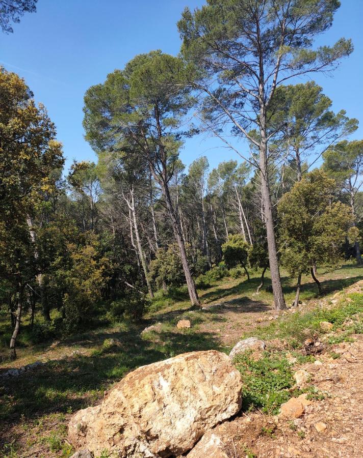 Les Hauts Du Peireguier La Motte Exteriör bild